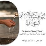 قَوَافِلُ التَّوْحِيدِ وَالسُّنَّةِ (الفقه)