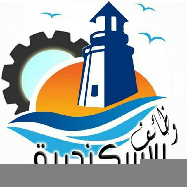 وظائف الاسكندرية