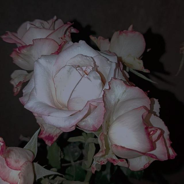 لِــ شخص هــادئ 𓂆.