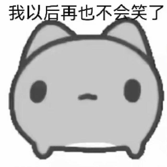 我再也不会笑了