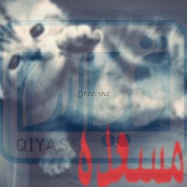 تاسيس المنصف ~ اقسام ايهاب ~ مصادر القدرات
