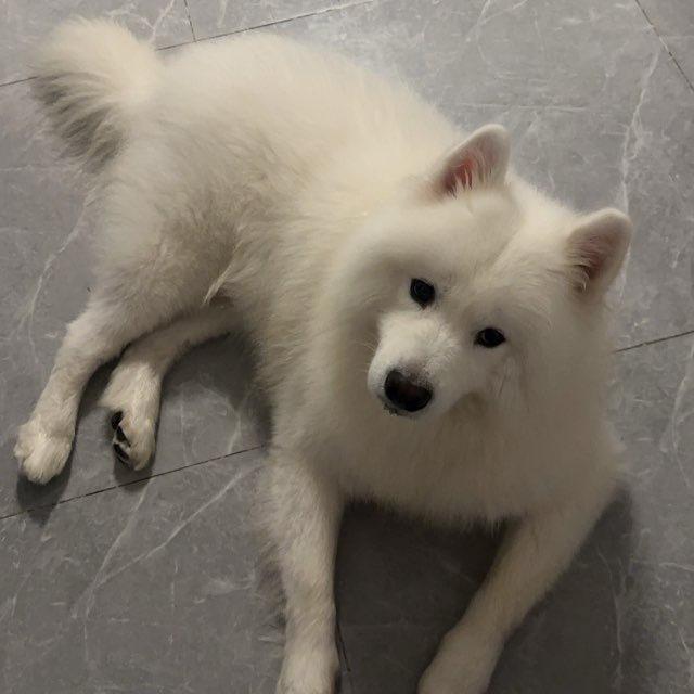 千纯❤️❤️屋中自有颜如玉