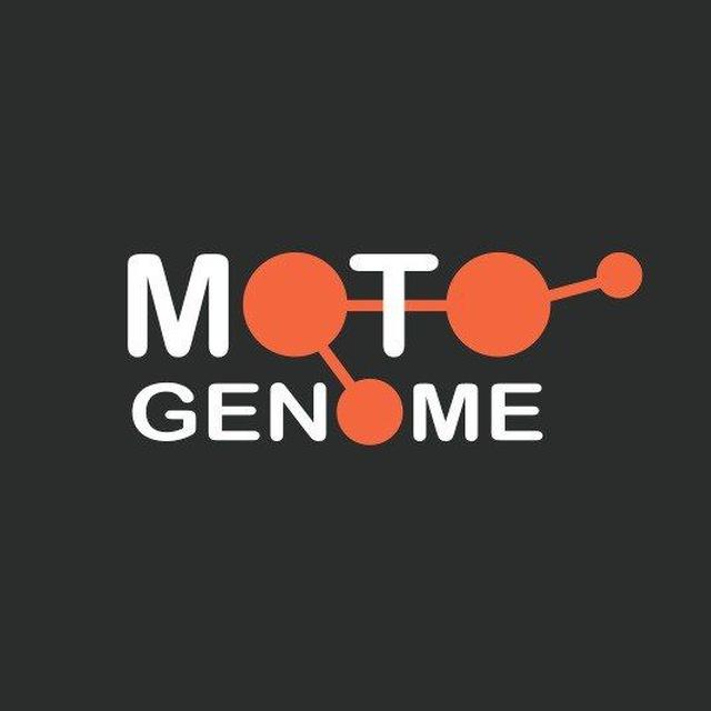 MotoGenome / Мото Геном