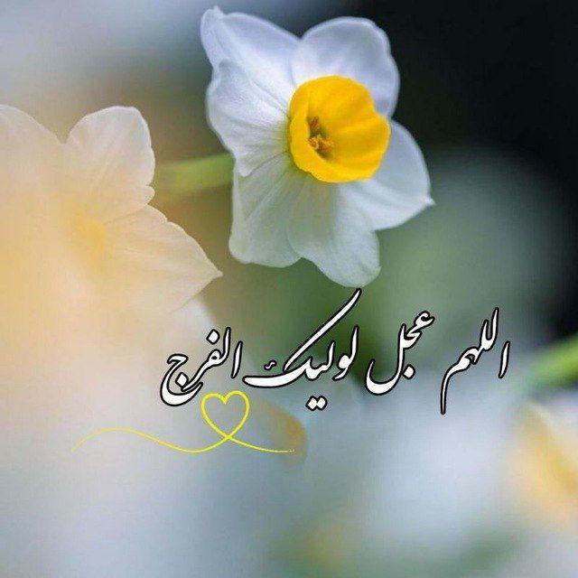💚ڪانال یـ۳۱۳ـار امام زمان(عج)💚