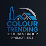 COLOUR TREDING GROUP