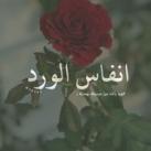 صباح الخير ، انفاس الورد