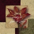 مَلاذُ التَّائِهِينَ💗.
