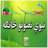 تعليم القران🌹نبوی نعتونوڅانګه💐