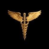 MBBS ALL Year pdfs