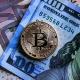 Plataforma de inversión en Bitcoin y criptomonedas