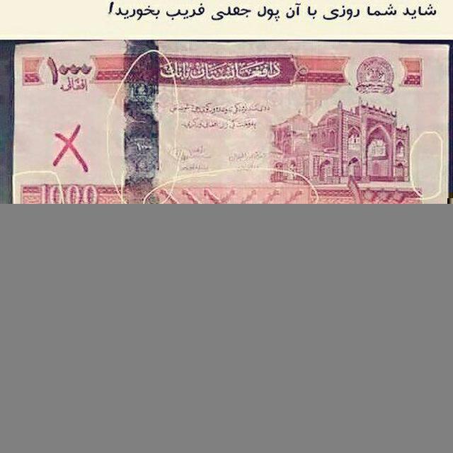خبر های عاجل🚨🅰🅱🅾