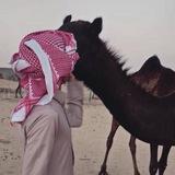 هوآجيـَـس ₉₁₂ . .