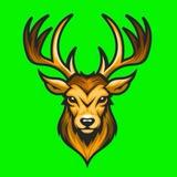 Moose STATYMAI