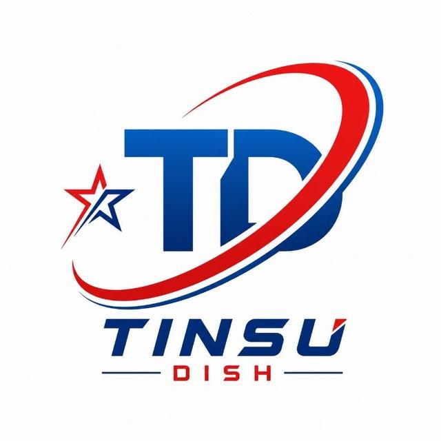 TINSU DISH