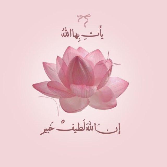 🌺.