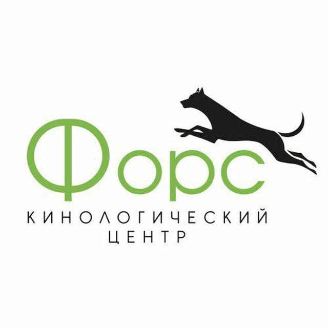 КЦ ФОРС