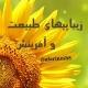 🌼 زیباییهای طبیــــعت و آفرینش 🌼
