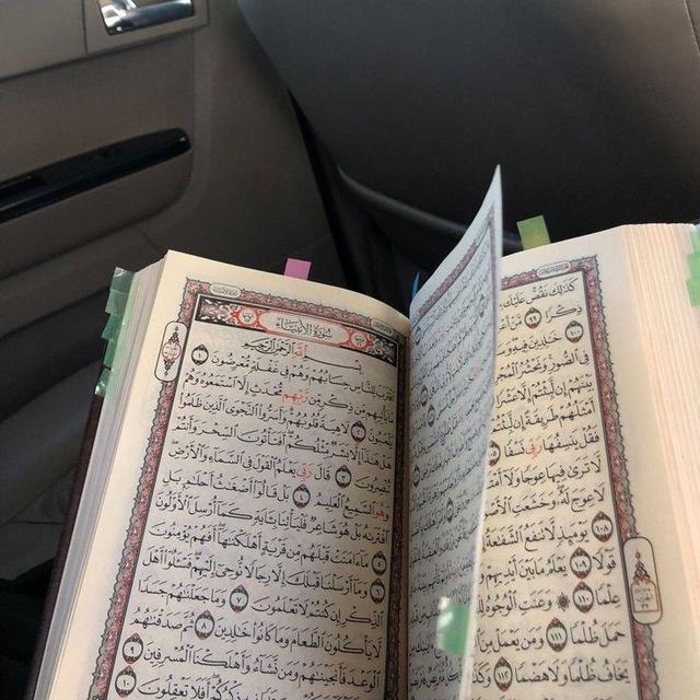 فُسّحَتي|🪷 ⋆