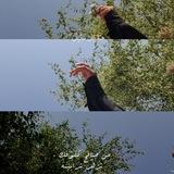 خربشات _ بنت عقيل_ .