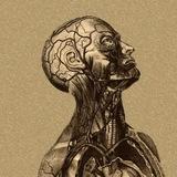 Surgery Videos and Books