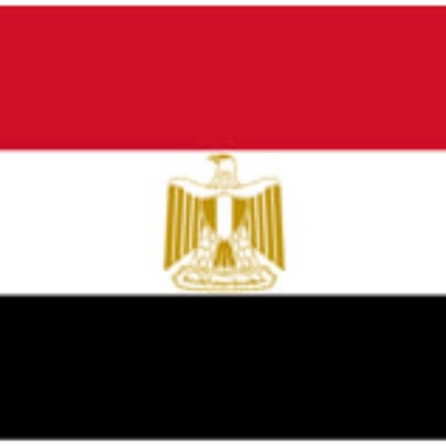 🇪🇬Daily Work Channel🇪🇬