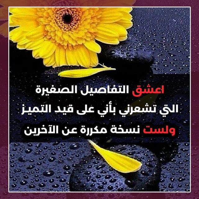 قناة أ /سوزان المسلم