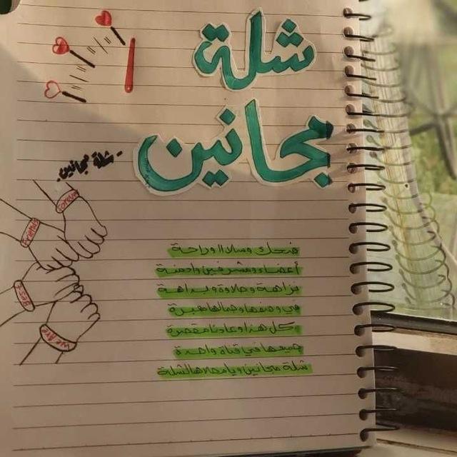 - شلة مجانين.