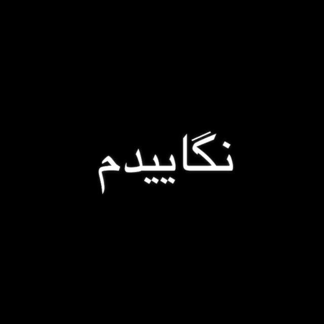 عمو