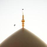 شِفآءٌ