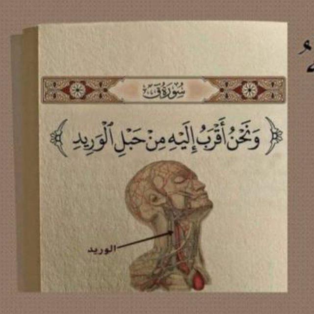 قناه تؤجر عليها🌷.