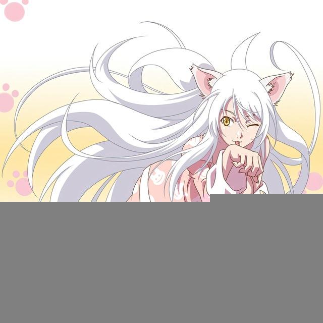 Nekochya channel