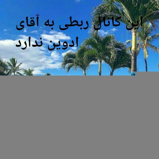 فقط ادوین