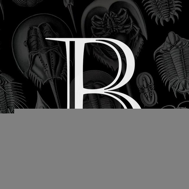 BAKTYGALIYEV BLOG