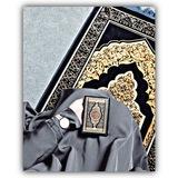 مِاެݪاެ نِبَـــۅٛحِ بَهِ ❤️‍🩹|. َ↻