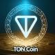 ربات تون ماینر Ton miner
