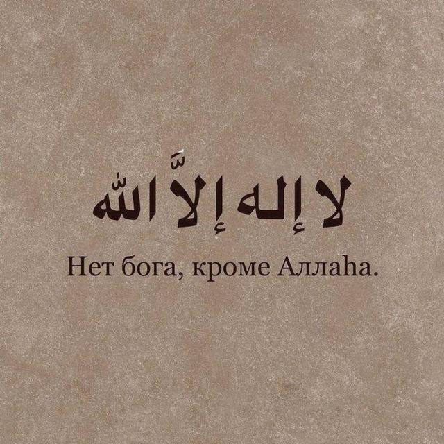 حب