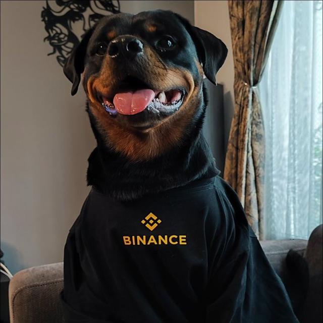 #Dogs 🦴 (BinanceDog)