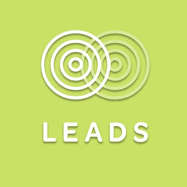SMM LEADS