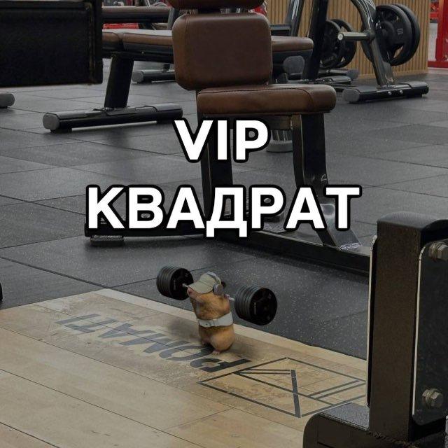 VIP- квадрат