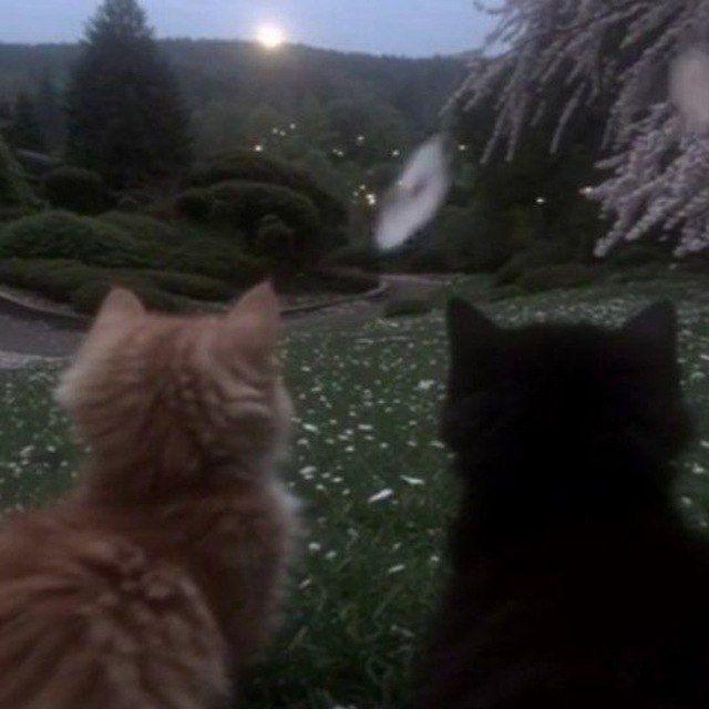 01:01