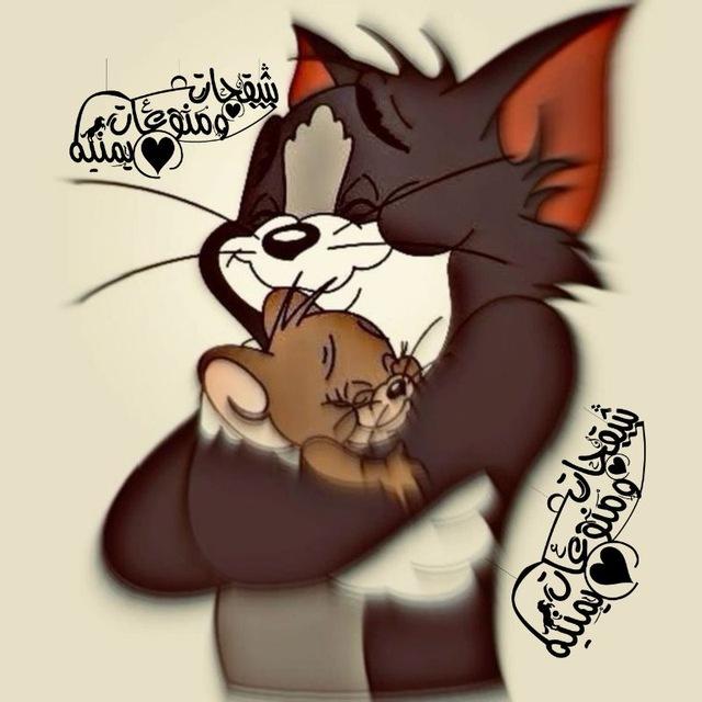 شقحات ومنوعات يمنيه⁽ツ₎​​​​​​​​​​​​​​​​​​​​⁽🥀♥️₎⇣