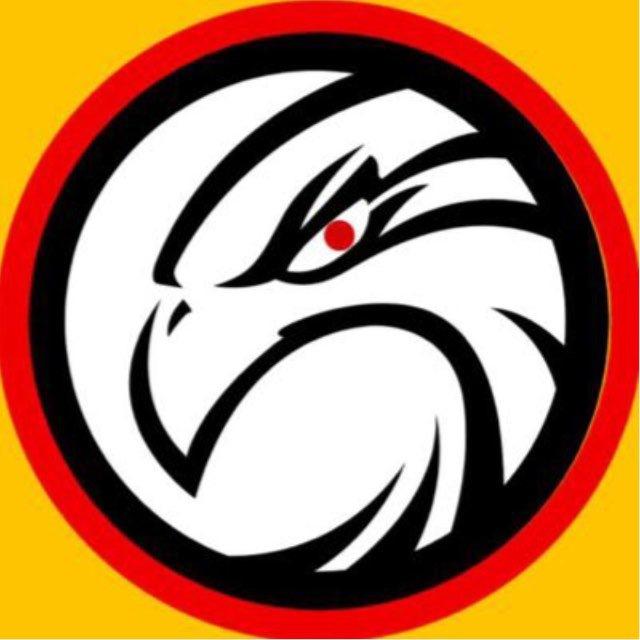 الشاهين 🦅