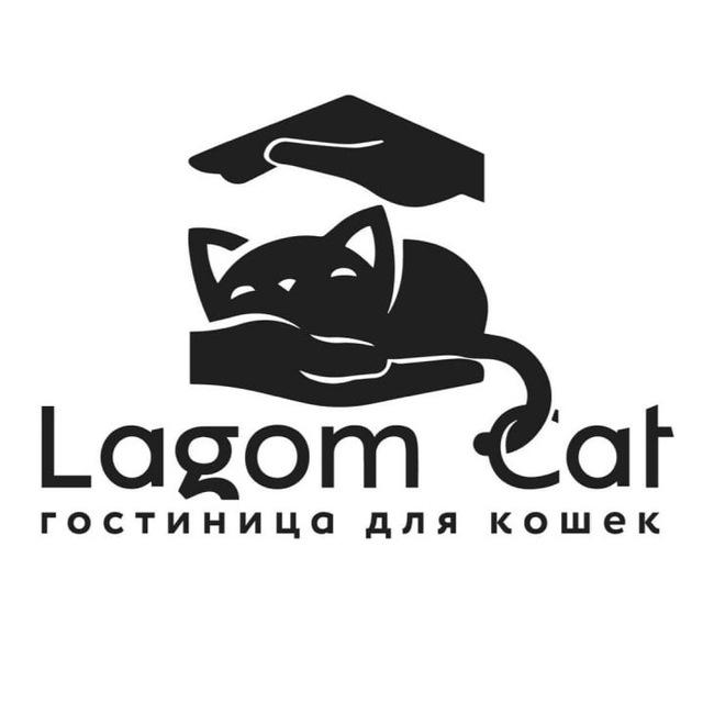 Гостиница для кошек Lagom Cat_СПб