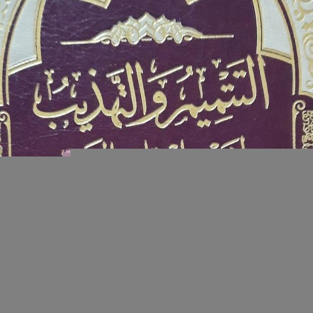 فَضِيلةُ الشَّيخ خيرُ الدّين الجُندِيّ (شرحُ كتابِ التَّتميمِ والتَّهذيب) في فقه الشافعيّ