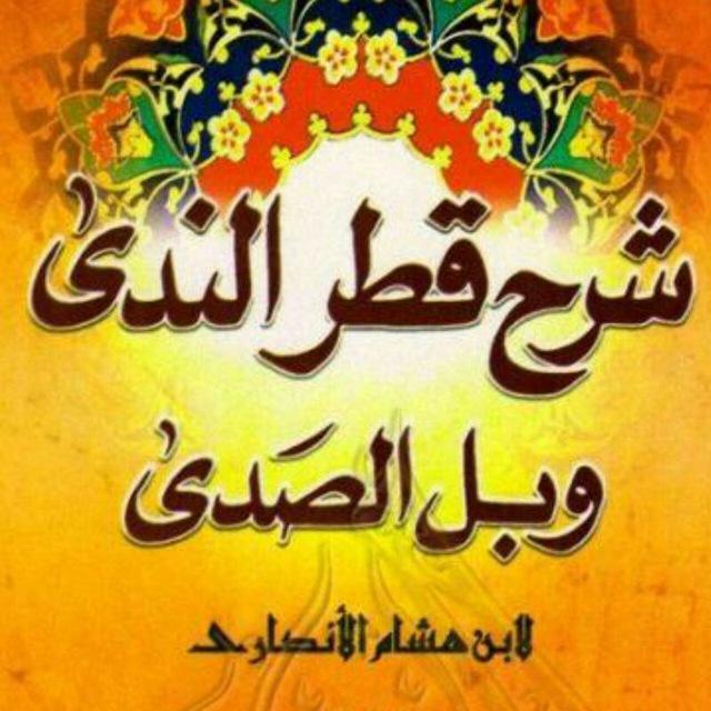 شرح قطر الندى وبل الصدى _ دروس حوزوية