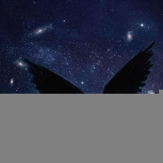 𝑹í𝒐