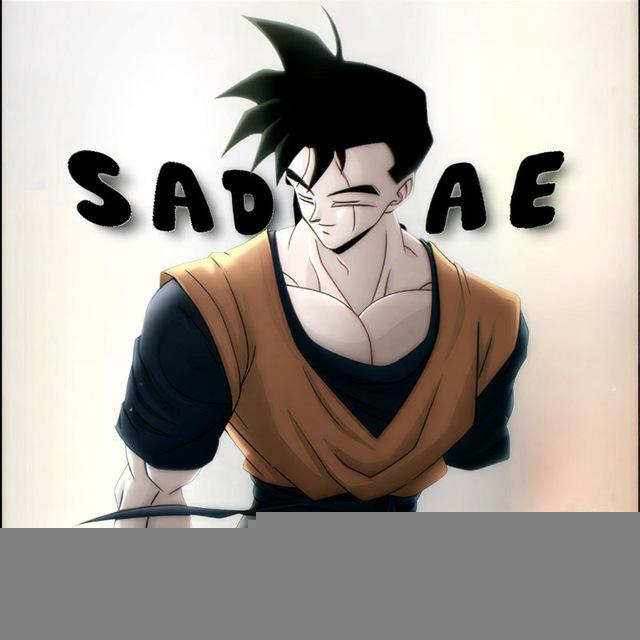 SADIQ.AE