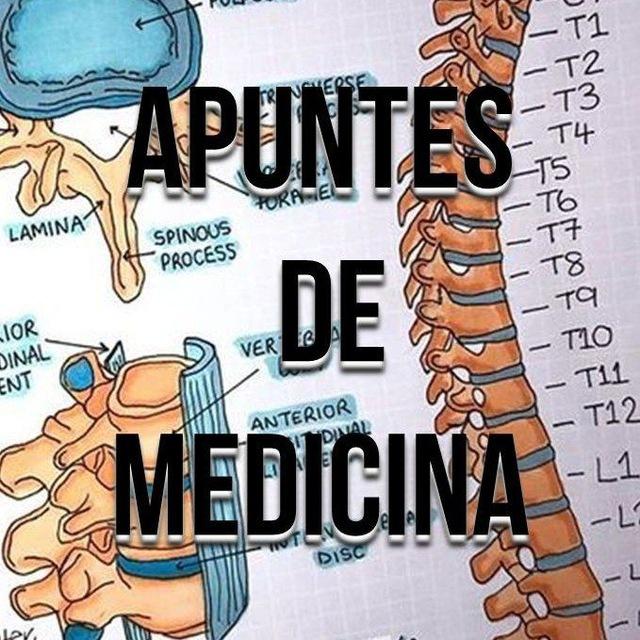 Los resúmenes de Randy y otros de Medicina 📚📖👨🏻‍⚕