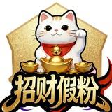 招财-假粉团队