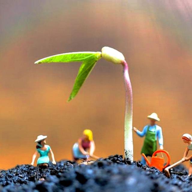 🌱 AGRICULTURE JRF BOOKS AND PDF